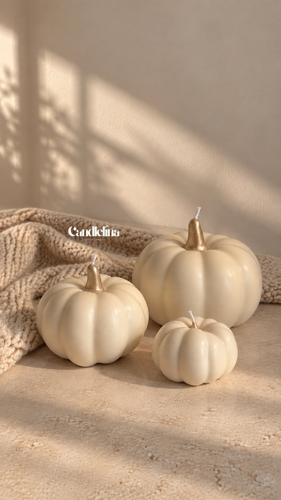 The Pumpkin Spell Set (3PC)