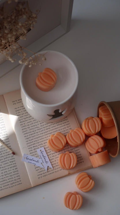 Candle Wax Melts (30 PC)