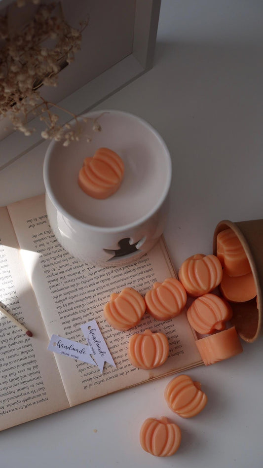 Candle Wax Melts (30 PC)