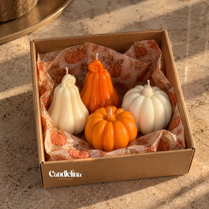 Pumpkin Harvest Set